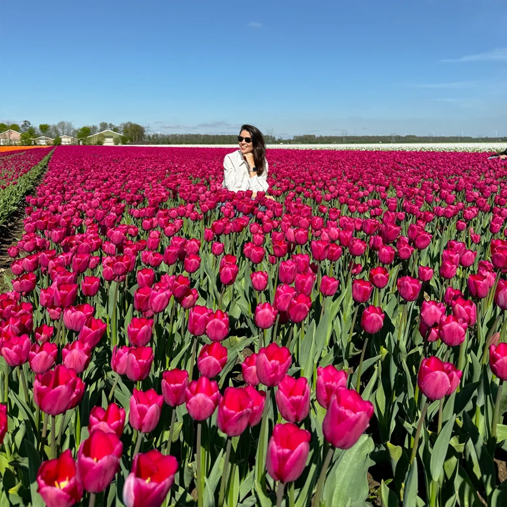 Flevoland | Países Baixos