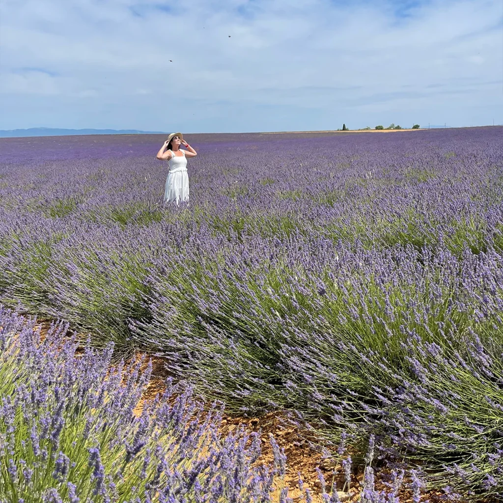 Valensole | França